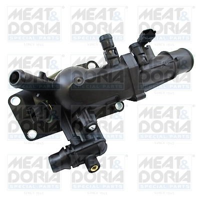 Thermostat, coolant